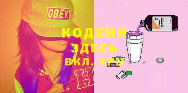 шишки Белокуриха