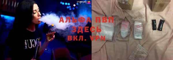 шишки Белокуриха