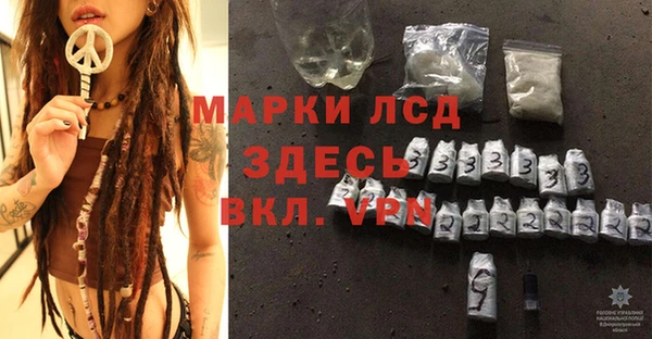 шишки Белокуриха