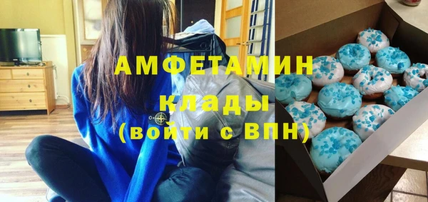 шишки Белокуриха