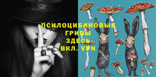 шишки Белокуриха