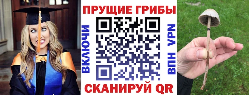 Галлюциногенные грибы Psilocybine cubensis  OMG маркетплейс  Борисоглебск 