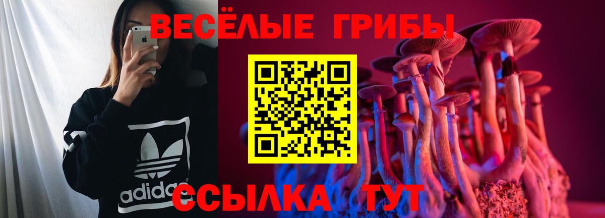 Галлюциногенные грибы прущие грибы Борисоглебск
